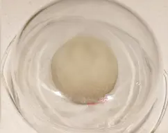 Step <p>Añadimos la harina y amasamos durante 2 min.</p><p>Retiramos la masa del vaso, formamos una bola y la dejamos reposar encima de la encimera espolvoreada con harina, tapada con un bol durante 15-20 min.</p><p><br></p> illustration